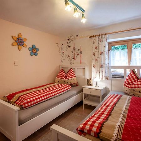 Apartment Landhaus Muehlau In Tirol Erpfendorf Kültér fotó