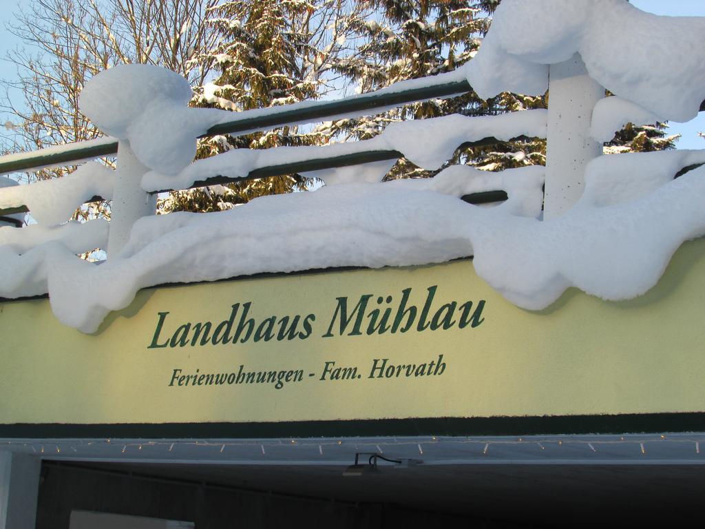 Apartment Landhaus Muehlau In Tirol Erpfendorf Kültér fotó